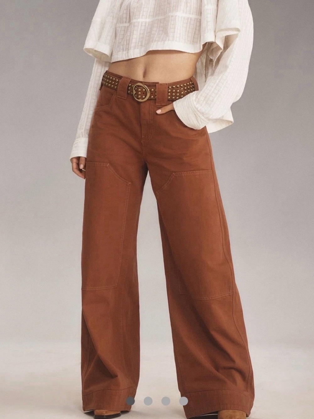 Anthropologie Pilcro Puddle Curve Wide Leg Pants Brown Sz 31 Baggy Slouchy